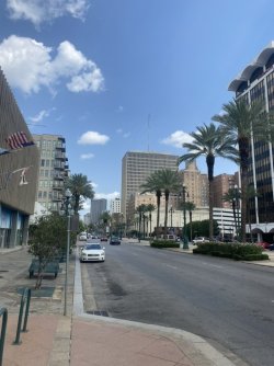 B401A9A0-00E2-41EE-8330-D9D305B955F0_1_105_c.jpeg