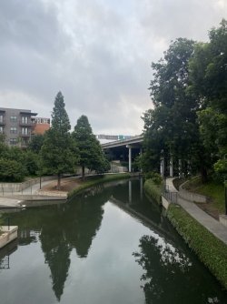 017FA1C5-323C-440B-B9AE-6B223208C1B8_1_102_o.jpeg