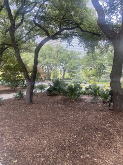 992435E4-EAB9-443C-B454-E75FB15FDDBC_1_102_o.jpeg