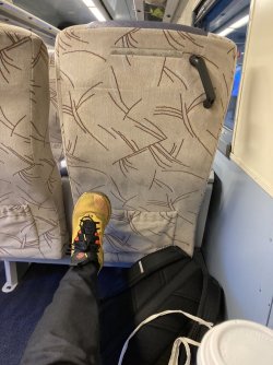 IMG_7323.jpeg