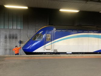 IMG_7313.jpeg
