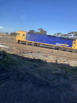 IMG_7383.jpeg