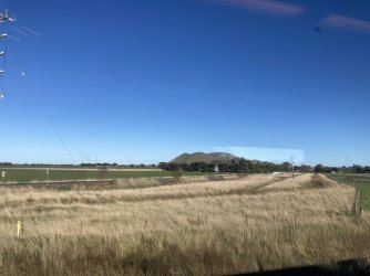 IMG_7400.jpeg