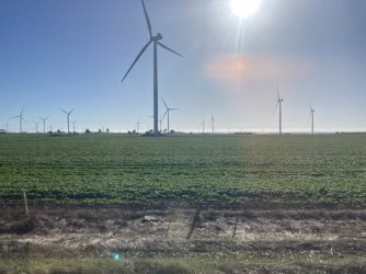 IMG_7393.jpeg