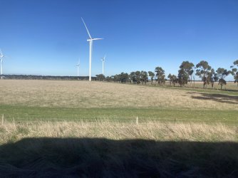 IMG_7394.jpeg