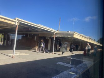 IMG_7437.jpeg