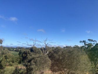IMG_7460.jpeg