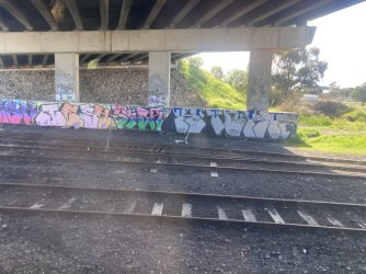 IMG_7492.jpeg