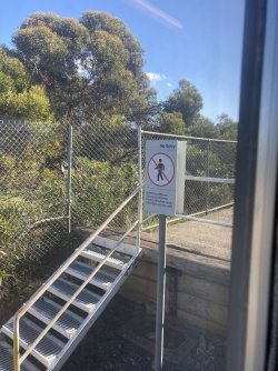 IMG_7506.jpeg
