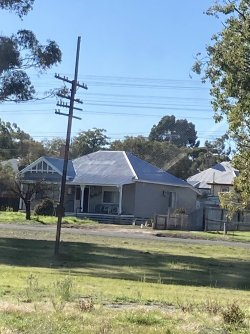 IMG_7508.jpeg