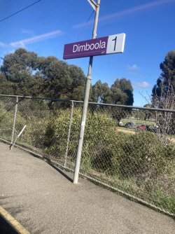 IMG_7510.jpeg