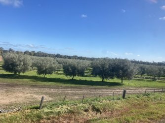 IMG_7525.jpeg