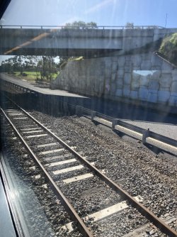 IMG_7530.jpeg