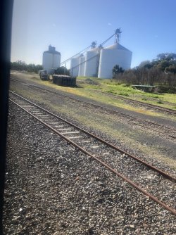 IMG_7590.jpeg
