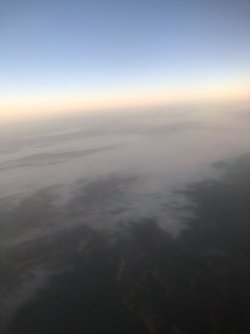 IMG_6619.jpeg