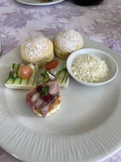 IMG_8172.jpeg