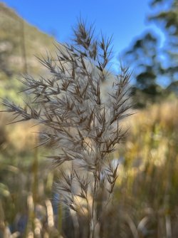 IMG_5474.JPG