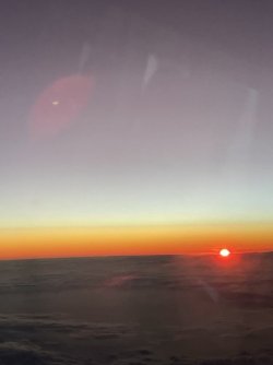 IMG_1668.jpeg
