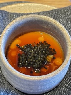 IMG_7998.jpeg