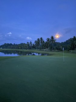IMG_0937.jpeg