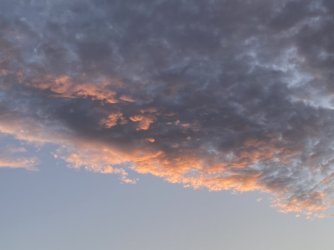 IMG_4249.JPG