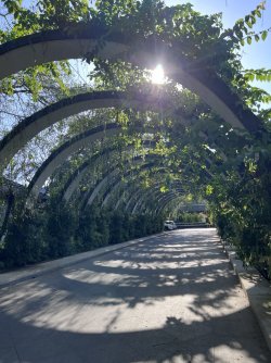 IMG_5043.jpeg