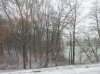 Snowscape.jpg