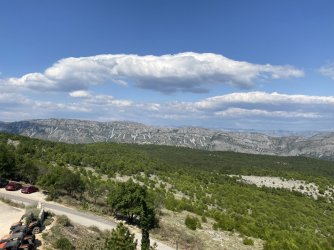 IMG_2800.jpeg