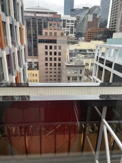 IMG_4081.jpeg