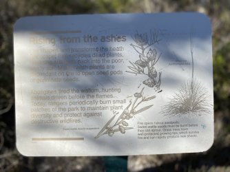 IMG_4373.JPEG