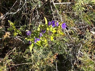 IMG_4381.JPEG