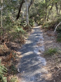IMG_4383.JPEG