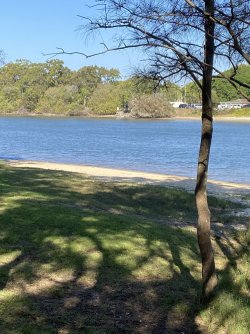 IMG_4363.JPEG