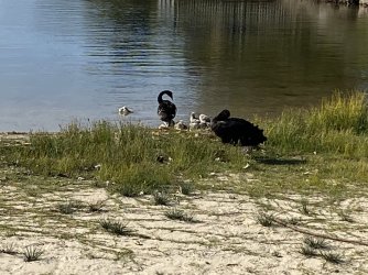 IMG_4407.JPEG
