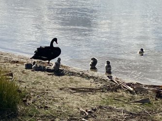 IMG_4408.JPEG