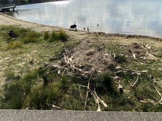 IMG_4409.JPEG