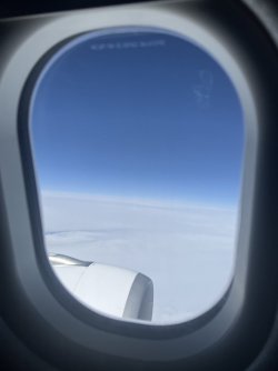 IMG_8769.jpeg