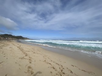 IMG_8804.jpeg