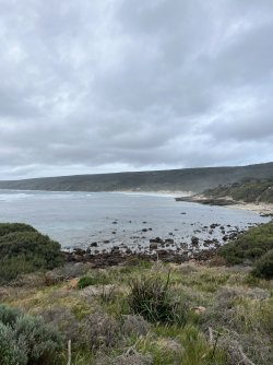IMG_8853.jpeg