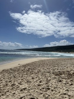IMG_8889.jpeg