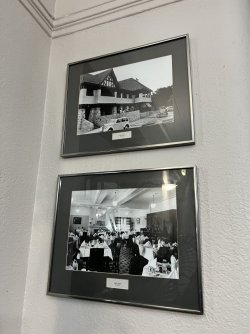 IMG_8895.jpeg