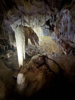 IMG_8952.jpeg