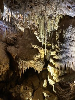 IMG_8956.jpeg
