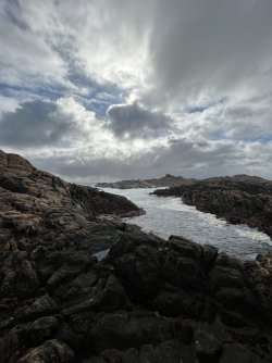 IMG_8987.jpeg