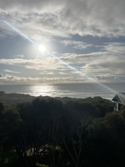 IMG_8997.jpeg