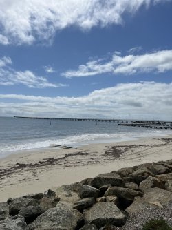 IMG_9005.jpeg