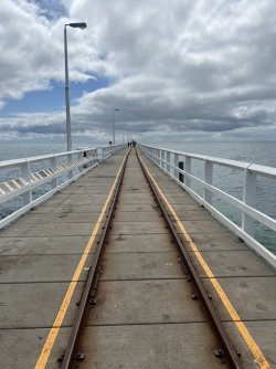IMG_9024.jpeg