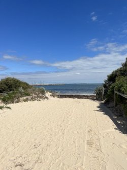IMG_9153.jpeg