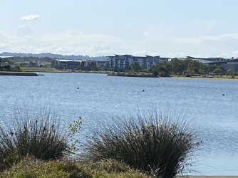IMG_4436.JPEG