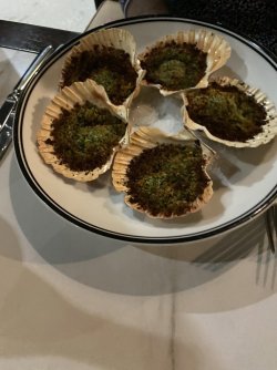 IMG_4533.jpg